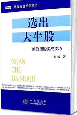 选出大牛股：波浪理论实战技巧pdf下载