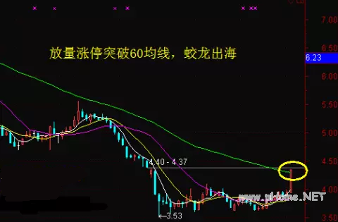 涨停板培训：蛟龙出海买入法