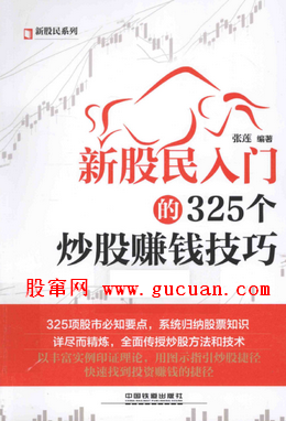 新股民系列 新股民入门的325个炒股赚钱技巧pdf下载