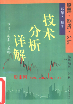 股票、期货、外汇技术分析详解 理论・实务・策略 修订第8版PDF下