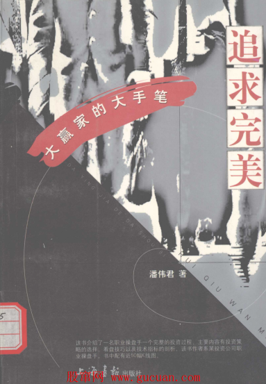 追求完美:大赢家的大手笔pdf下载/潘伟君