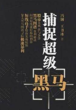捕捉超级黑马pdf下载(高清)