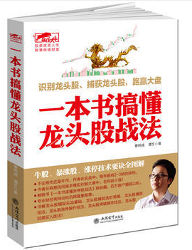 一本书搞懂龙头股战法PDF下载