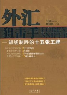 外汇狙击手:短线制胜的十五张王牌pdf下载