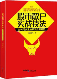 股市散户实战技法pdf下载