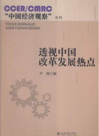 透视中国改革发展热点(高清)pdf下载