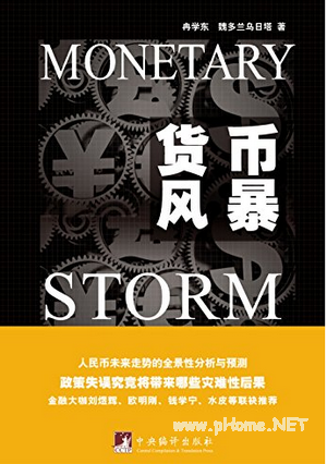 货币风暴pdf